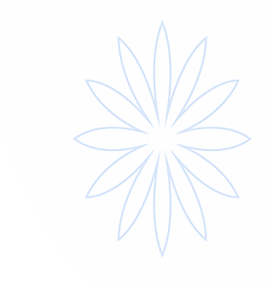 金宝搏亚洲|金博宝娱乐官网